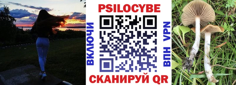 ОМГ ОМГ ссылки  Константиновск  Галлюциногенные грибы Psilocybine cubensis  где купить  